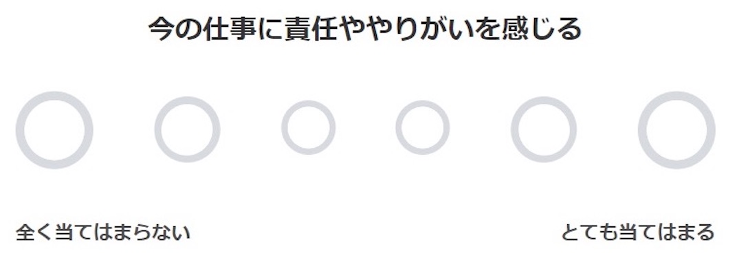 ミキワメウェルビーイング_質問例6_熱意